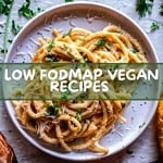 Low FODMAP Vegan Recipes