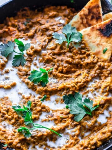Low FODMAP Vegan Lentil Curry with naan bread slices