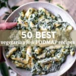 50 Best Vegetarian Low FODMAP Recipes