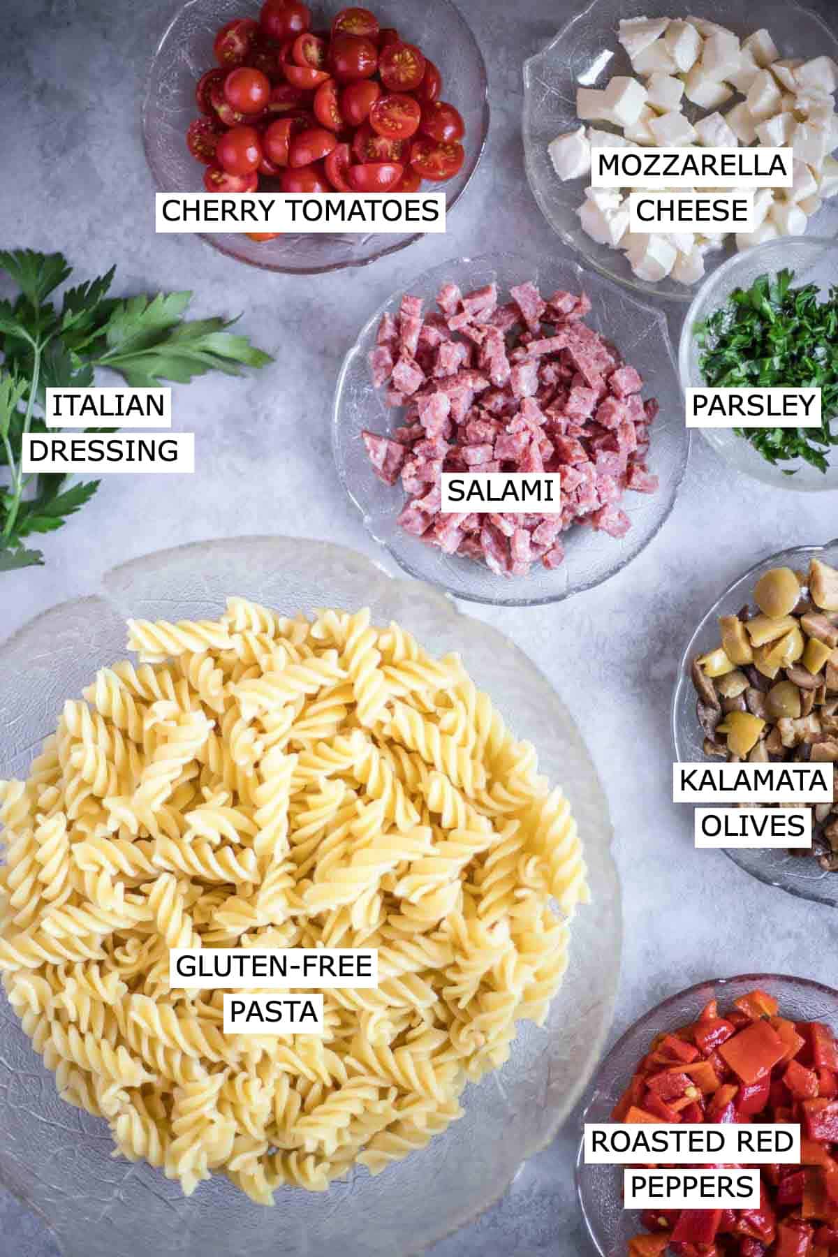 Cherry tomatoes, mozzarella cheese, salami, parsley, gluten-free rotini pasta, kalamata olives, roasted red peppers.