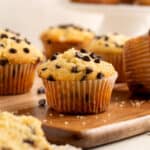 Gluten-Free Chocolate Chip Muffins