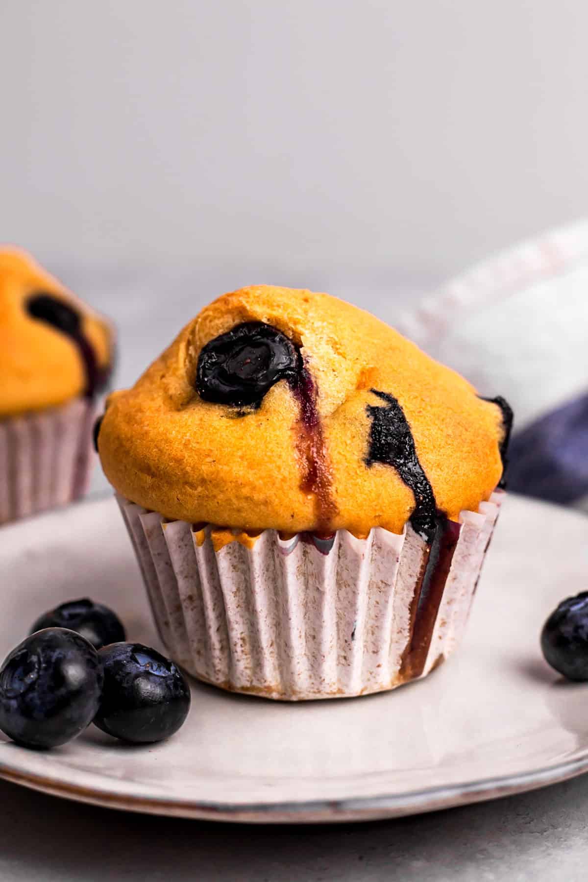 Blueberry Muffin on a plate