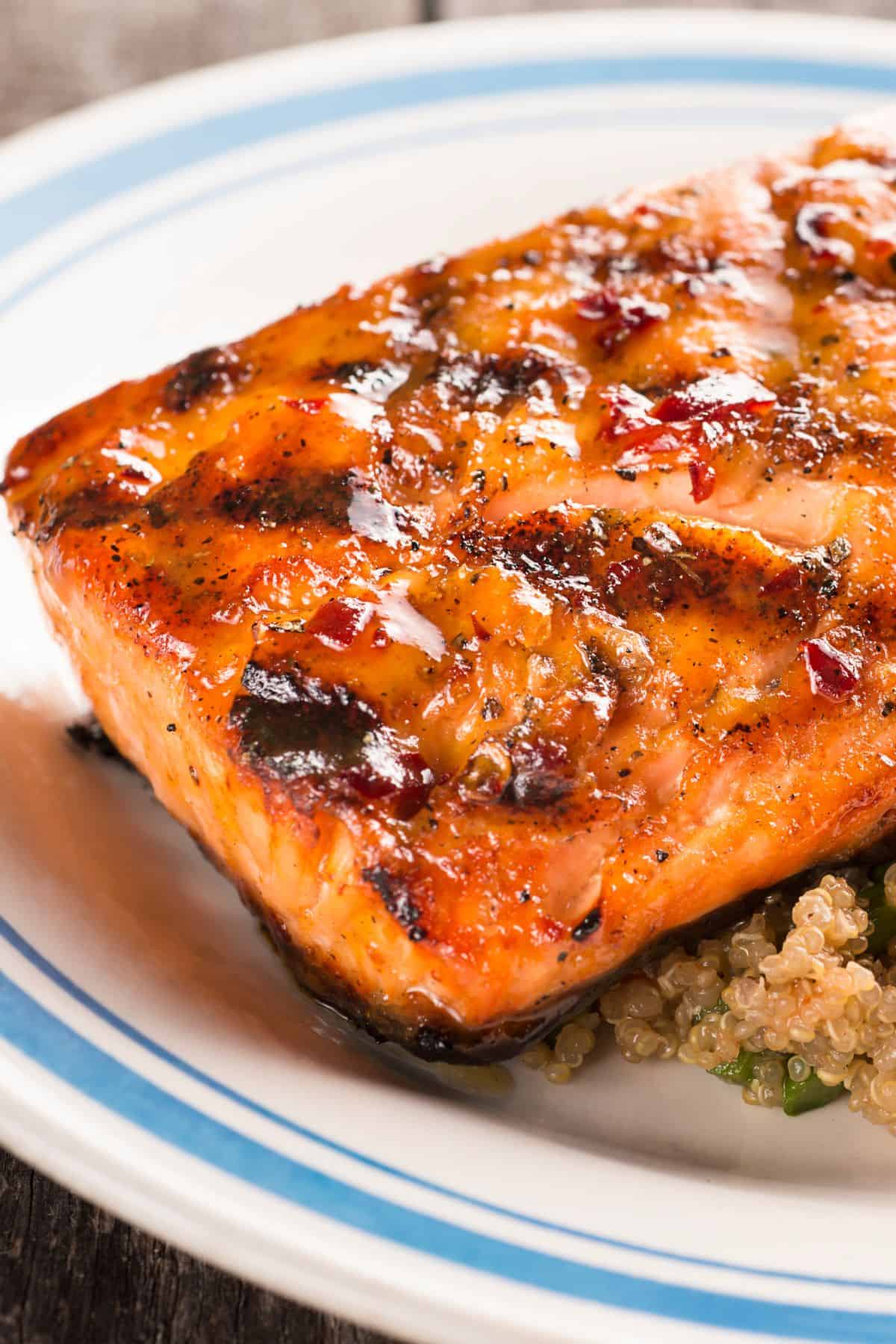 Grilled salmon on a plate